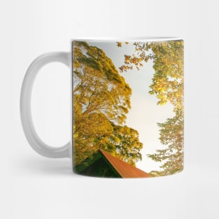 Chimney Cottage, Mount Wilson, Blue Mountains, Sydney, NSW, Australia Mug